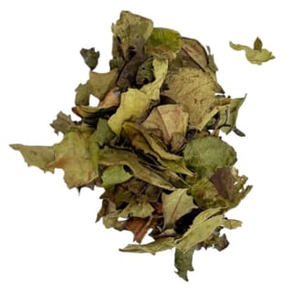 Guizhou (White) - Hot 12 oz