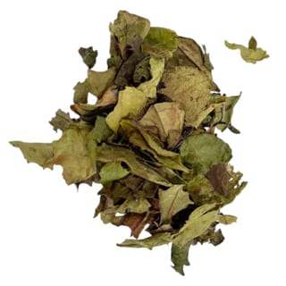 Guizhou (White) - Hot 16 oz